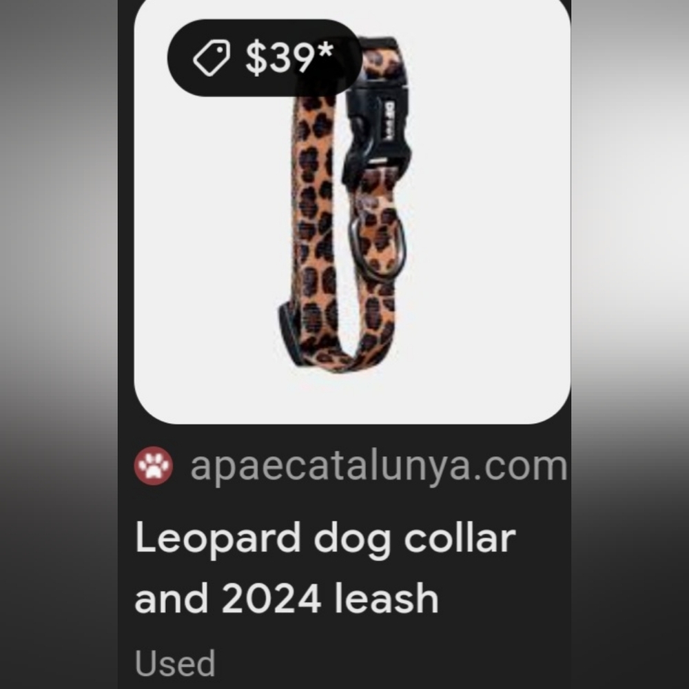 Play On DOG COLLAR 🐕 - Picture 15 of 16